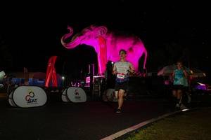 BIB: 
                            <button type="button" onclick="openModal(26543266)" class="btn btn-primary btn-sm float-right btn-popup" data-toggle="modal" data-target=".modal-high-quality">
                        <i class="fas fa-shopping-cart"></i> Add to Cart
                    </button>
                                            <button type="button" onclick="isThisMe(26543266, true)" class="btn btn-success btn-sm float-right btn-popup btn-isme hidden" data-toggle="tooltip" data-placement="bottom" title="นี่คือรูปของคุณใช่ไหม คลิกที่นี่เพื่อเอาเข้าอัลบั้ม">
                        <i class="fas fa-plus"></i> Add to album
                    </button>
                    <button type="button" onclick="isThisMe(26543266, false)" class="btn btn-warning btn-sm float-right btn-popup btn-isnotme hidden">
                        <i class="fas fa-ban"></i> Remove from album
                    </button>